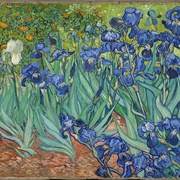 Irysy - Vincent Van Gogh (Los Angeles, J. Paul Getty Museum)