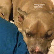 Kenny Segal - Indoor