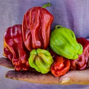 Criolla De Cocina Peppers