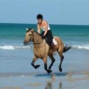 Ride Horse