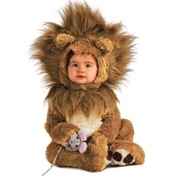 Baby Lion