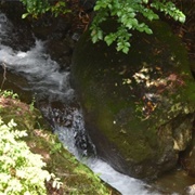 Suzu River, Kanagawa
