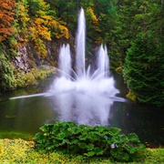 Butchart Gardens Dancing Fountain (Victoria, BC)