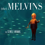 (A) Senile Animal (Melvins, 2006)