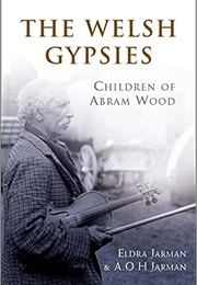 The Welsh Gypsies: Children of Abram Wood (Eldra Jarman & AOH Jarman)
