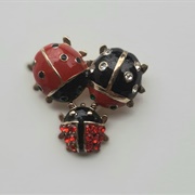 Ladybugs