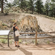 Florissant Fossil Beds National Monument