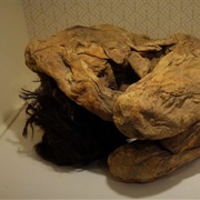 Lemon Grove Mummies (Permanently Closed)