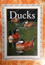 Ducks (Nature's Treasures)