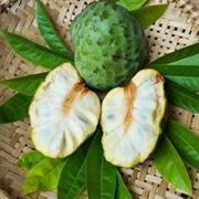Araticum-Cagão (Annona Cacans)