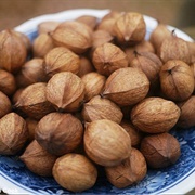 Mockernut Hickory (Carya Tomentosa)