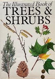 The Illustrated Book of Trees &amp; Shrubs (Eleanor Lawrence)