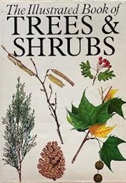 The Illustrated Book of Trees & Shrubs (Eleanor Lawrence)