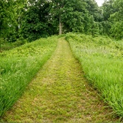 Siegenthaler-Kaestner Esker State Nature Preserve