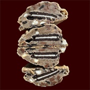 Halfsies Cookies Co. Oreo Stuffed Cookies and Cream Cookie