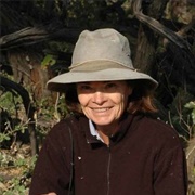 Dorothy Leavitt Cheney