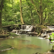 Bia National Park, Ghana