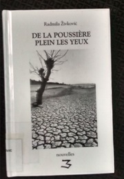 De La Poussière Plein Les Yeux (Radmila Zivković)