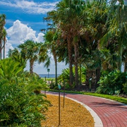 Gizella Kopsick Palm Arboretum