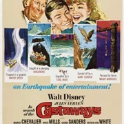 In Search of the Castaways