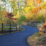 Oak Openings Preserve Metropark