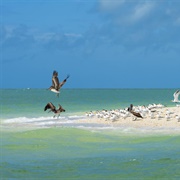 Marco Island - Florida