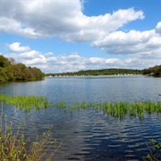 Frensham Great Pond, Surrey, England