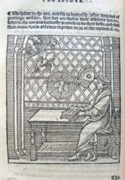 The Spider and the Fly (John Heywood)