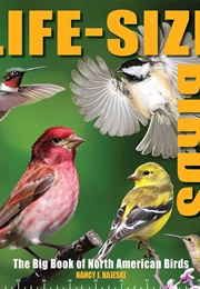 Life-Size Birds: The Big Book of North American Birds (Nancy J. Hajeski)
