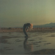 Phoebe Bridgers & Rob Moose - Copycat Killer