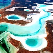 Shark Bay, Australia