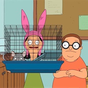 15. Adventures in Chinchilla-Sitting