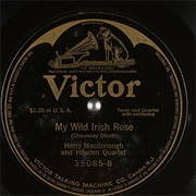 My Wild Irish Rose - 	Harry MacDonough