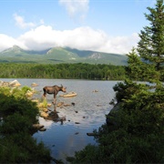Baxter State Park - Maine