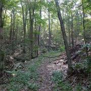 Wooster Mountain State Park