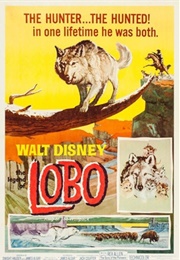 The Legend of Lobo (1962)