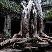 Visit a Destination Famous for Its Ancient Ruins