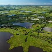 Lakes, Rivers & Streams of the Pantanal, Brazil