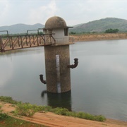 Rajapalayam, India