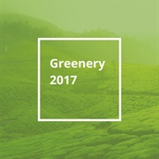 Pantone Color of the Year 2017: Greenery