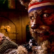 The Strange Tale of the Crack Fox