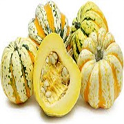 Carnival Squash
