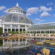 Bronx Botanical Gardens, NY