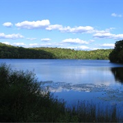 Ringwood State Park, NJ