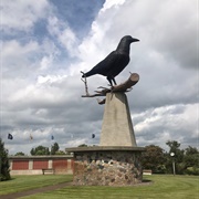 World's Largest Crow