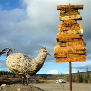Chicken of Chicken, Alaska