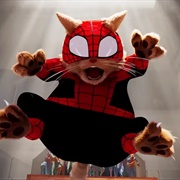Spider-Cat