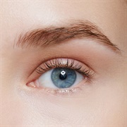 Didn't Pluck My Eyebrows for 6 Months