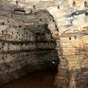 Buoyem Bat Caves, Ghana