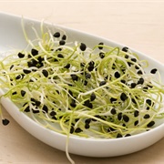 Onion Sprouts